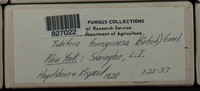 Image Associated With the Occurence